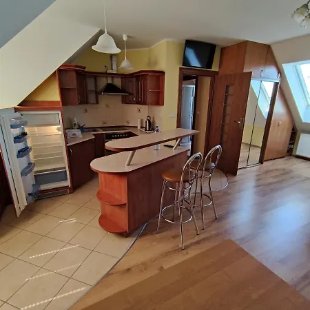 Pod Lasem - Ozonowany Apartament