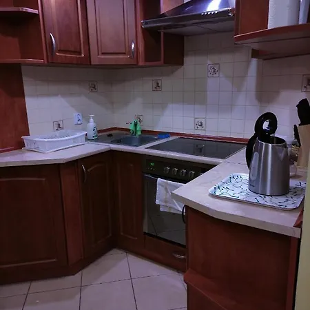 Pod Lasem 公寓 波利采